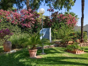 Flower, Plant, Sky, Property, Flowerpot, Botany, Nature, Tree, Street Light, Grass