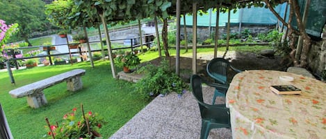 Pianta, Proprietà, Tavolo, Vaso Di Fiori, Shade, Interior Design, Mobili Da Esterno, Fiore, Albero, Tempo Libero