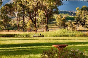 Backyard Valley and Mountain View.