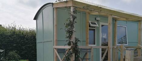 Clematis growing up Skylarks Veranda