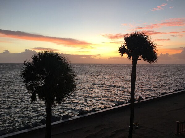 View from our porch. Morning Sunrise and dolphins swimming by!