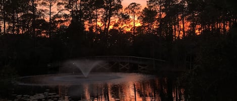 Fantastic back yard sunset from our patio. 