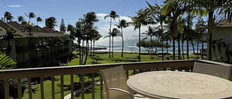 Lanai View