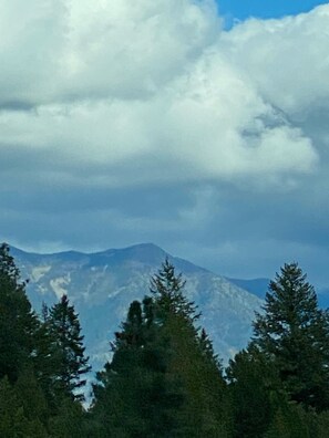 View from the Kitchen