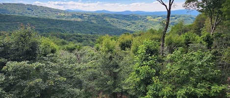 Vista dalla struttura