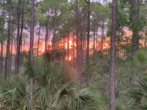Sunset view from upper deck