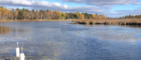 View of Nelson's Bay on Pelican Lake from our dock