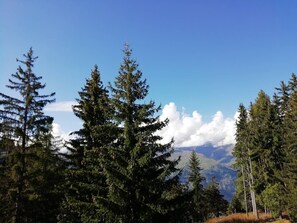 Summer view