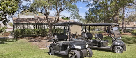 Two Golf Carts