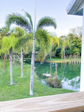 Swim in our 72 degree lake year round!