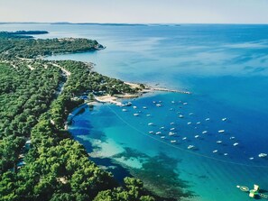 Water, Water Resources, Sky, Azure, Natural Landscape, Coastal And Oceanic Landforms, Beach, Tree, Landscape, Horizon