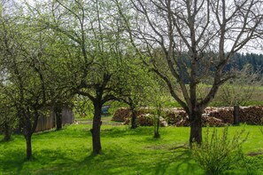 Umgebung