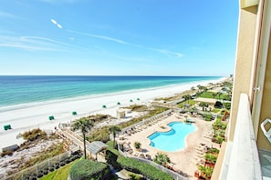 Sterling Sands Freeform Pool