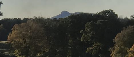 View of Pilot Mountain from the front windows and porch