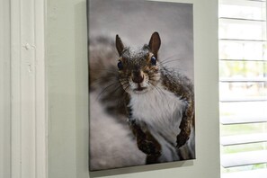 Welcome to the Nutty Squirrel!