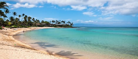 Napili Bay Steps away