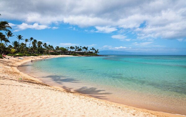 Napili Bay Steps away