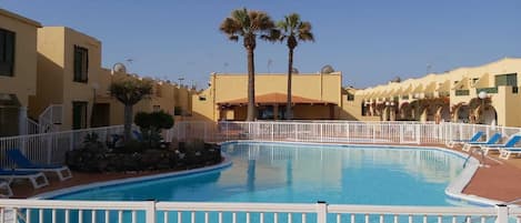 Lovely pool area with palm trees