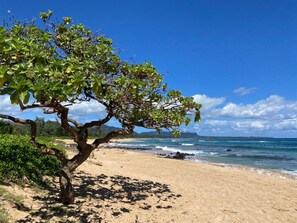 Beach Access