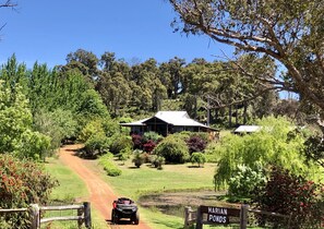 Marian Ponds is nestled in beautiful gardens with a ridge of ancient grass trees