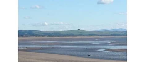 7 Miles of Sandy beach