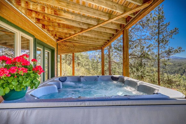 Hot Tub Bliss with San Juan Mountain Views