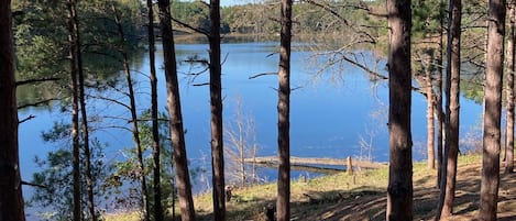 View from deck - bring your fishing pole and limit out on this stocked lake!!