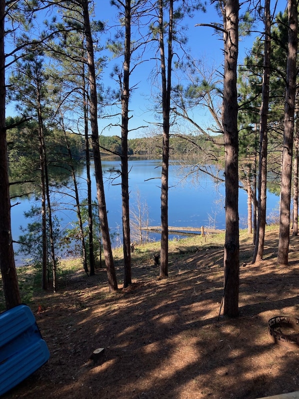 View from deck - bring your fishing pole and limit out on this stocked lake!!