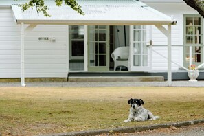 We welcome your family pooch to come join you