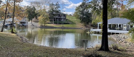 The lake shoreline. 