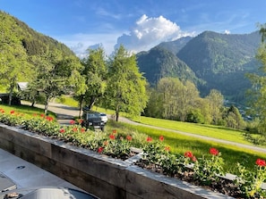 View from hottub on terrace