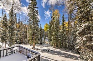 Community Deck | Fire Pit | Ski-In/Ski-Out Access