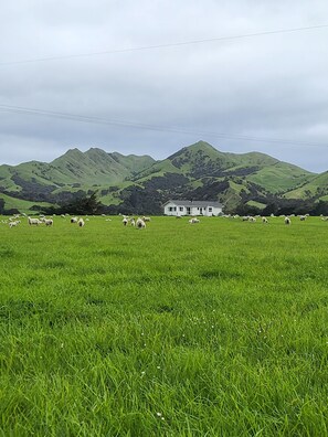 Modern House in open rural setting. The house is fenced.