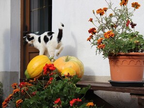 Außendetails
