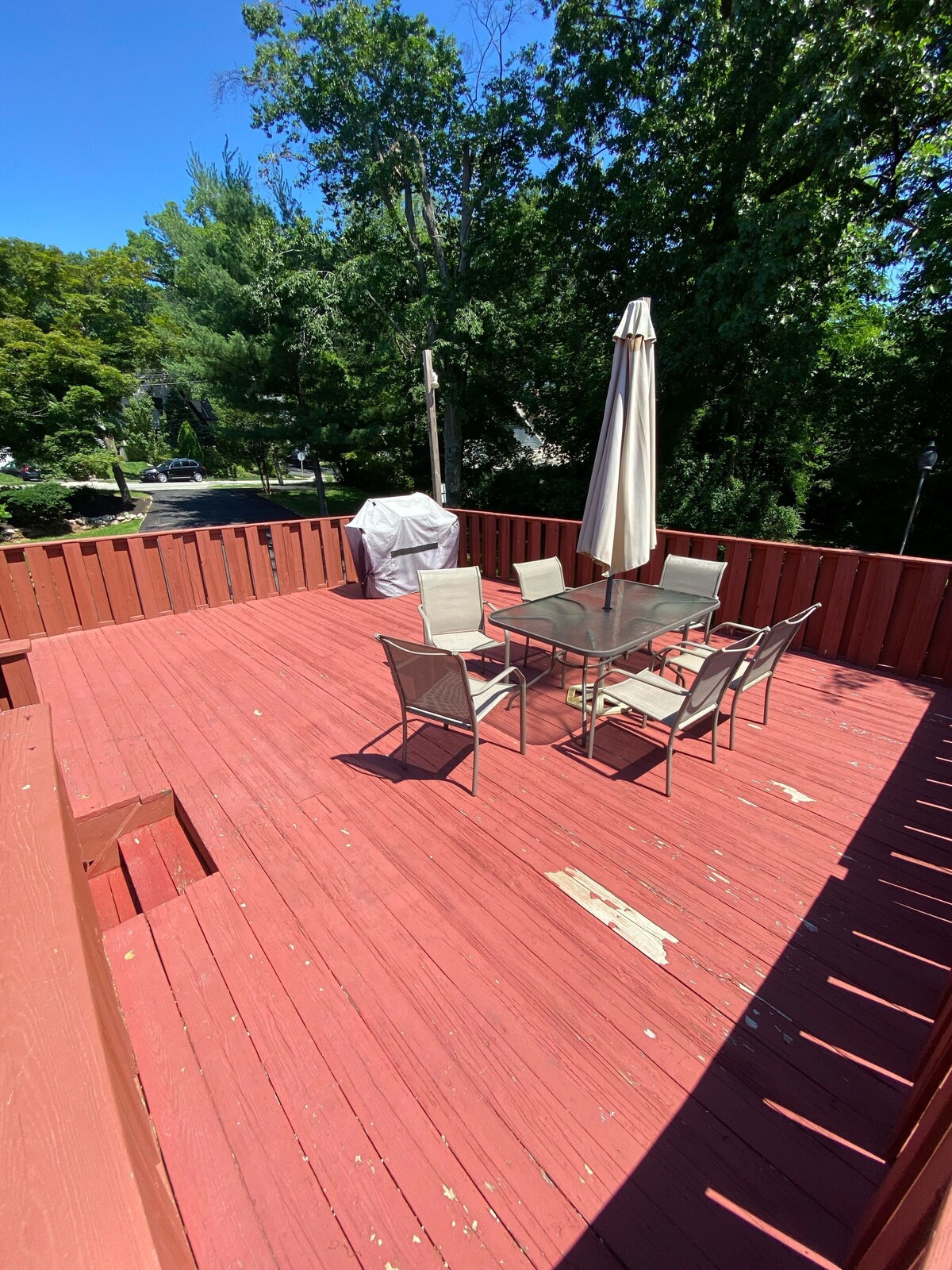 Newly renovated 5 bedroom house!