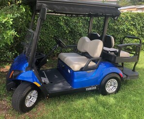 Golf "Fun" Cart. "To the Beach!" That was easy.