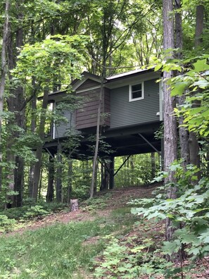 Photo looking up at tree house