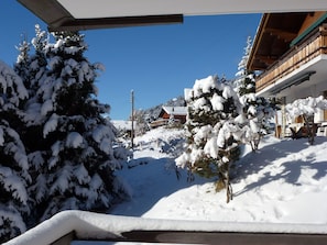 Wintersport/Ski