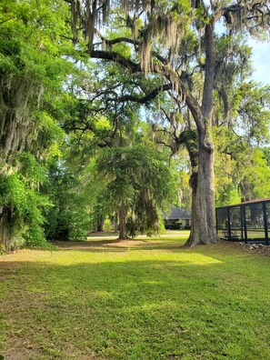 Big back yard