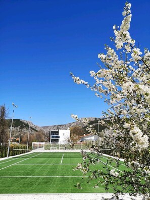 Sport court