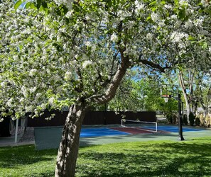 Campo sportivo