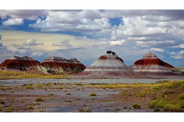 Petrified Forest National Park