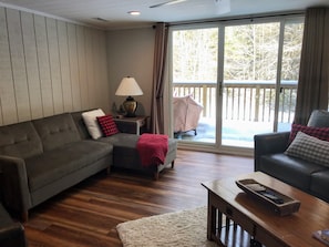 Chaise lounge sofa folds down to a comfy (owner slept on it) twin bed!