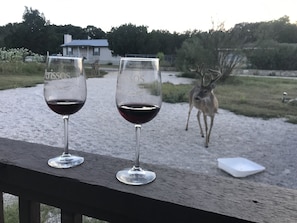 Relaxing with wine, watching deers during sunset time 