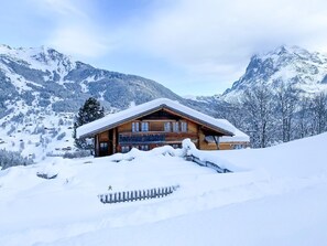 Picture 5