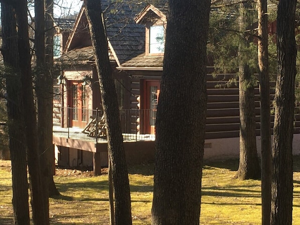 Exteriör