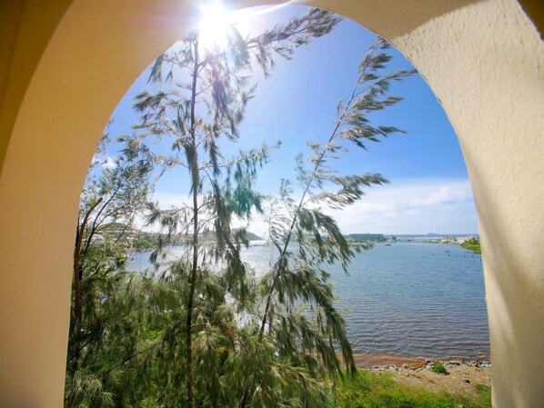 Vista desde la propiedad