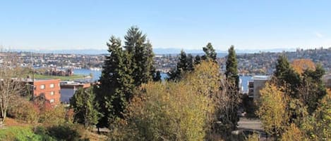 Unobstructed views of Thomas C. Wales Park and Lake Union!