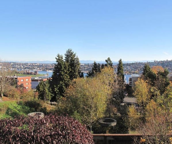 Unobstructed views of Thomas C. Wales Park and Lake Union!