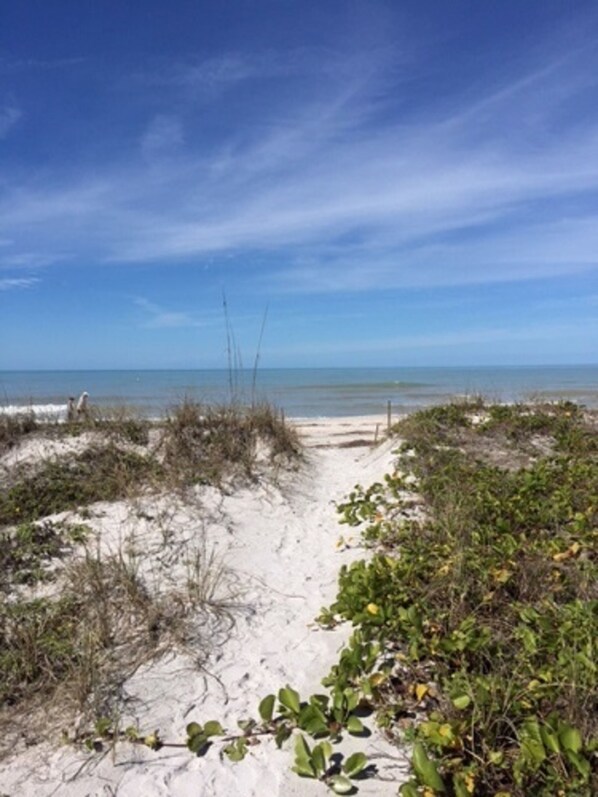 Strand